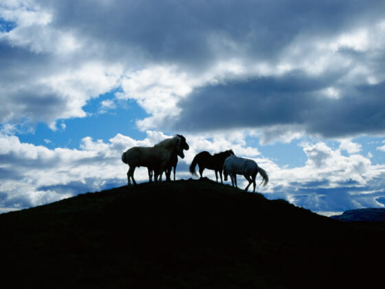 Griffel- und Tafelmacher Ludwigsstadt.