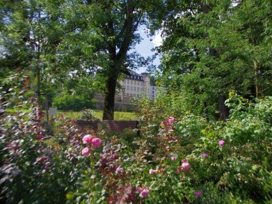 Schloss Untermerzbach