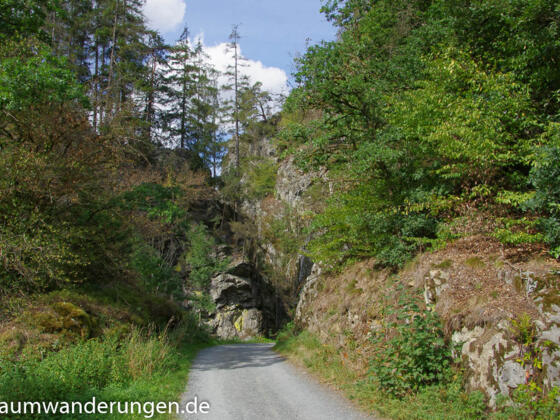 Eingang zur Steinachklamm