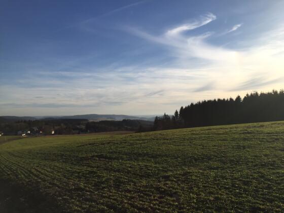 Aussicht bei Marienroth