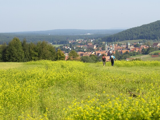 Wandern zwischen Rapsfeldern.