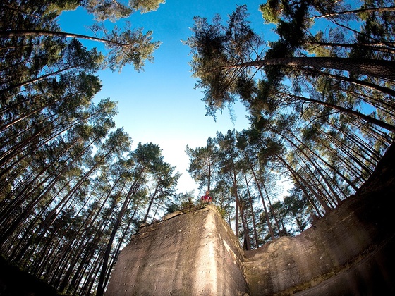 Wünderschöne Aussichten: Die Wernsbacher Steinbrüche, hohe Bäume und strahlend blauer Himmel.