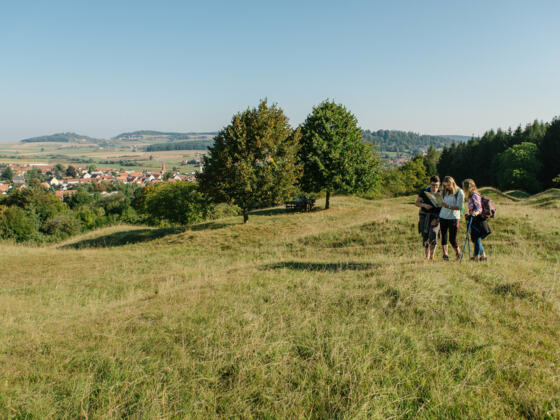 Wandern um Thalmässing