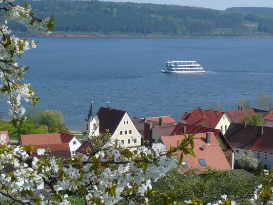 MS Brombachsee mit Kirschblüte