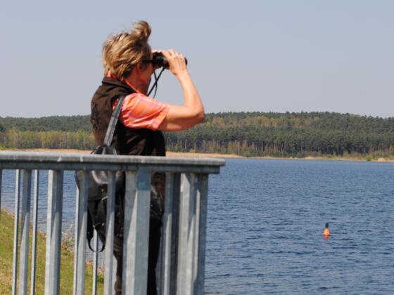 Vögelbeobachtung am Rothsee