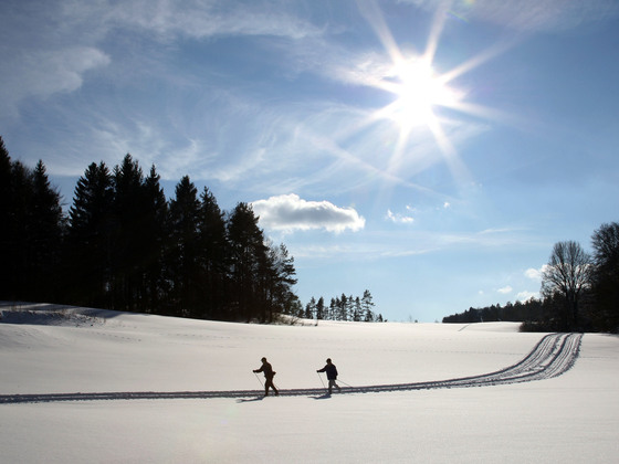 Winterzauber im Nürnberger Land