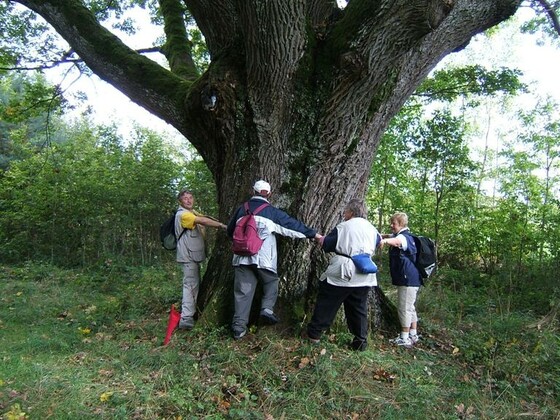 Natur pur genießt man bei der Spalter Hügelland-Tour.