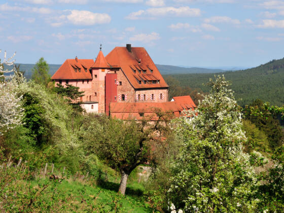 Burg Wernfels