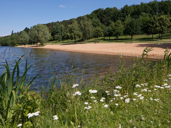 Ruhe findet man in der Blumenwiese am Igelsbachsee.