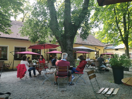 Waldwirtschaft Bienenheim