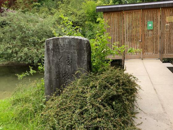 Der Eingang des japanischen Teehauses