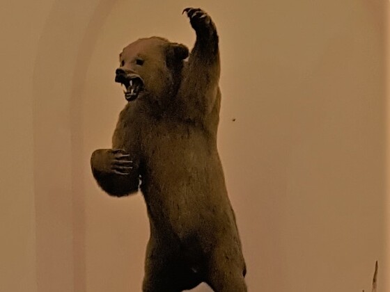 Jagdmuseum - Bär 