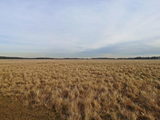 Ausblick von der Panzerwiese auf die Allianzarena 