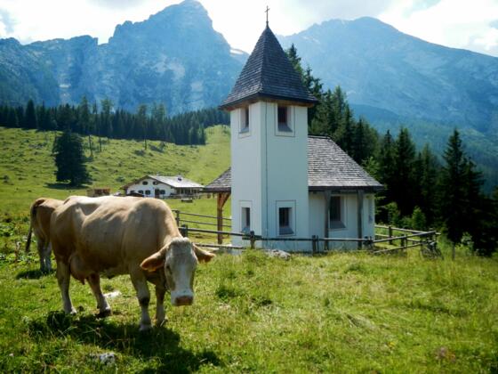 Kapelle auf der Kührointalm