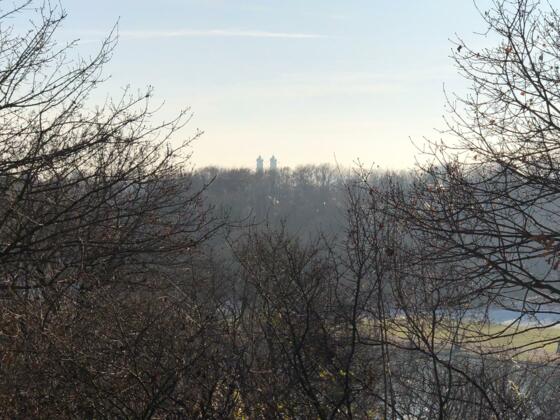 Aussicht vom Rosenhügel