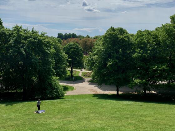 Ausblick vom Rosenhügel