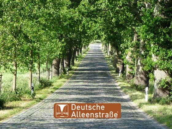 Deutsche Alleenstraße