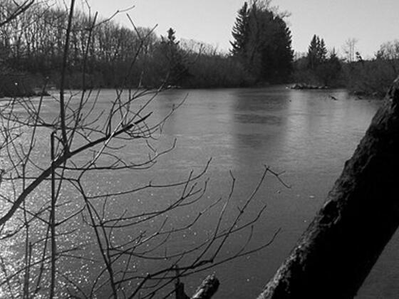 Moosschwaiger Weiher