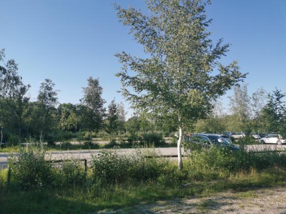 Langwieder See Parkplatz