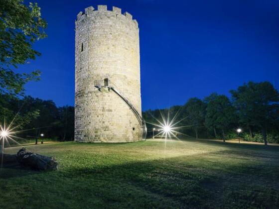 Heinrichsturm in Bad Abbach