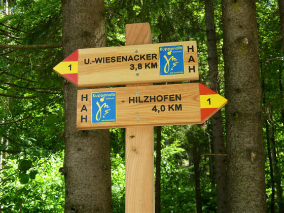 Wegmarkierung am Jurasteig