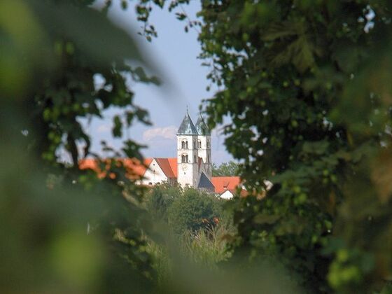 Blick zur Klosterkirche Biburg
