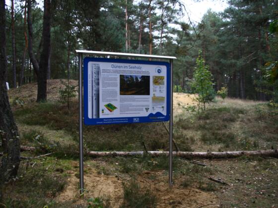 Infotafel Sanddüne Seeholz Abensberg