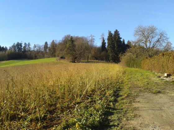 Anstieg bei Schloßberg