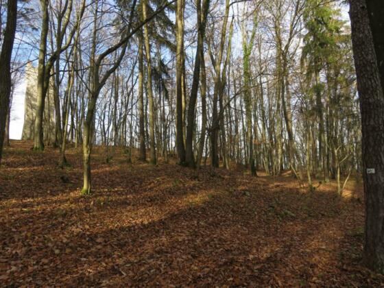 Abzweig zur Wallerwarte