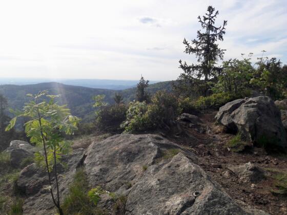 Blick vom Klausenstein nach Westen