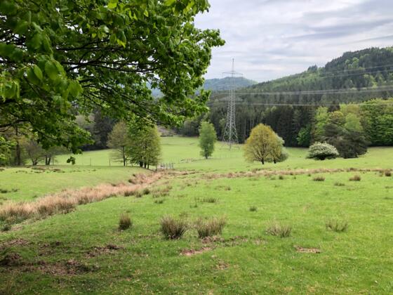 Das Damwildgehege in Häusles