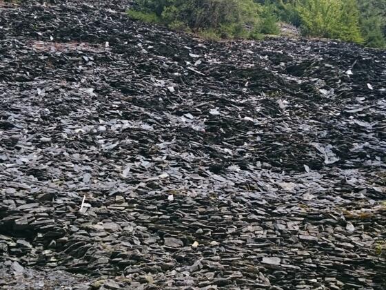 Schieferhalde bei Dürrenwaiderhammer