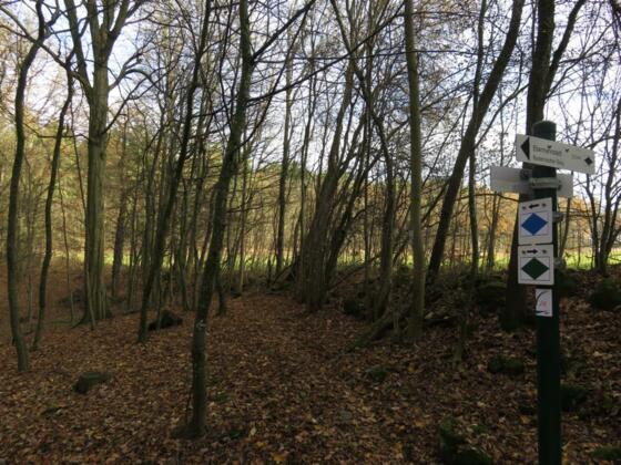 Gabelung Buckenreuther Steig -&gt; Schlüsselstein