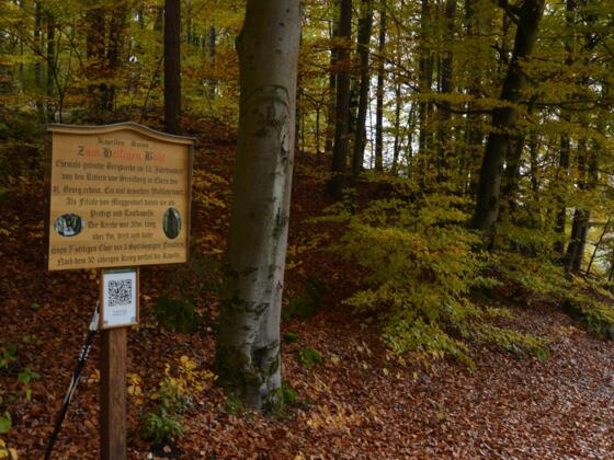 Heiliger Bühl - Wald-Kirchenruine im Muggendorfer Gebürg