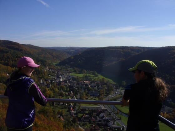 Blick vom Brünhildenstein auf Muggendorf