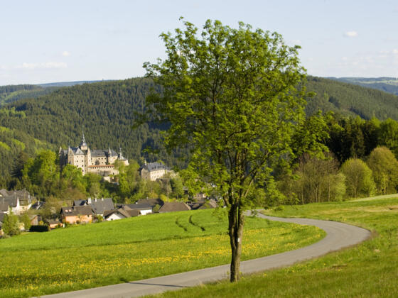 Blick auf Burg Lauenstein