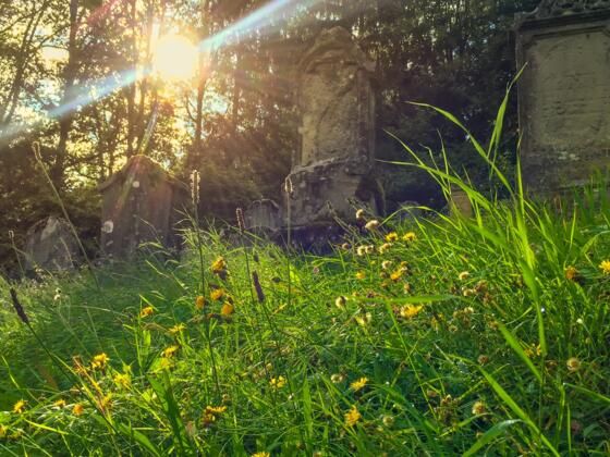 Jüdischer Friedhof Ermreuth