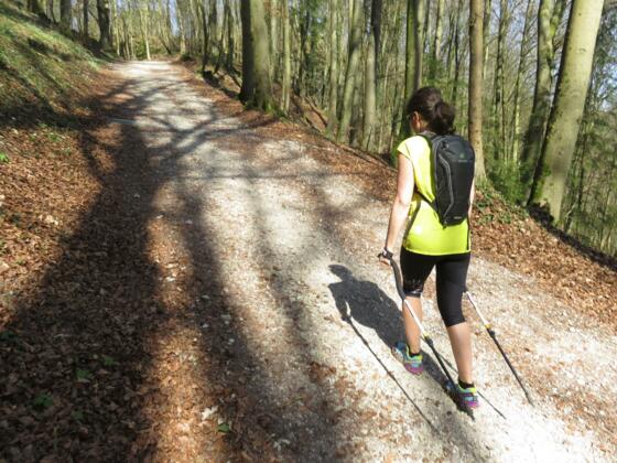 FXT Walking "probiers mal rückwärts"