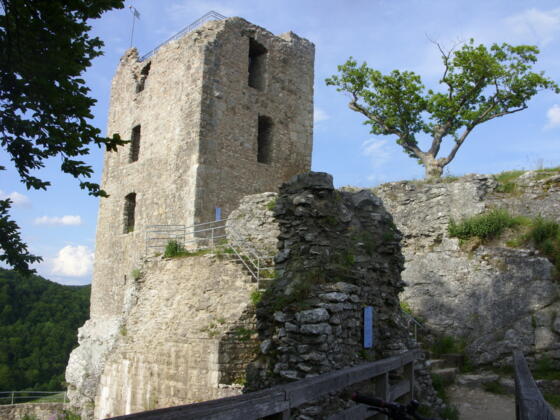 Neideck ~ Burgruine