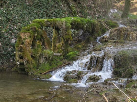 Wedenbach mit seinen Kalk-Sinterstufen in Streitberg