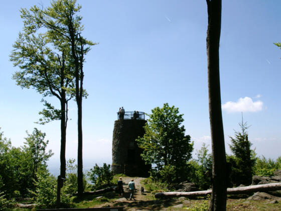 Turm im Frühjahr