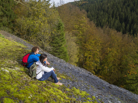 Auf der Schieferhalde Dürrenwaiderhammer