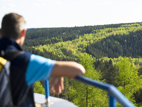 Blick von der Thüringer Warte auf das Grüne Band