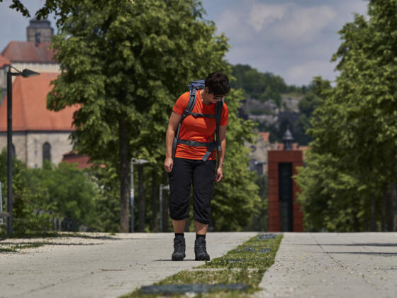 Geschichtspromenade im Landesgartenschaugelände in Kronach