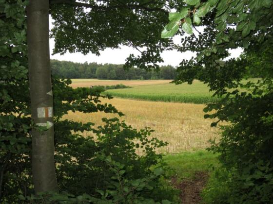 X-near-Wölm (&gt; Engelhardsberg)