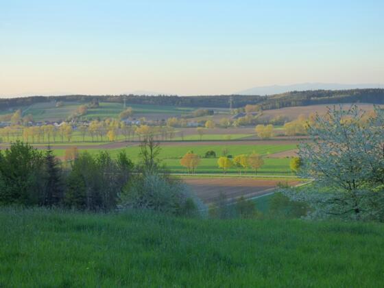 Herrlicher Ausblick von Haufenöd ins Vilstal