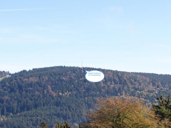 Digital-Funkturm am Stoagaßlweg