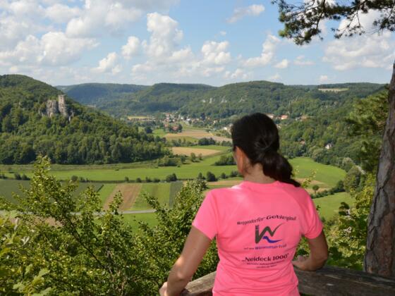 Burgblick am Wiesenttal-Trail