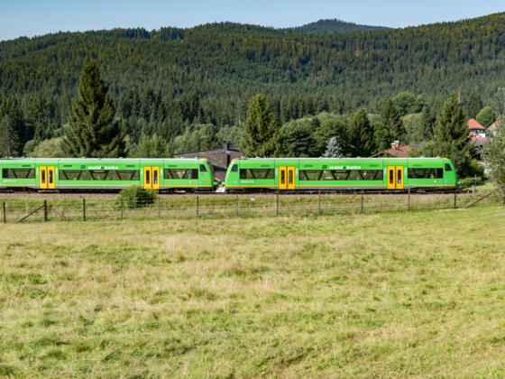 WBA1 Strecke Ludwigsthal - Zwiesel