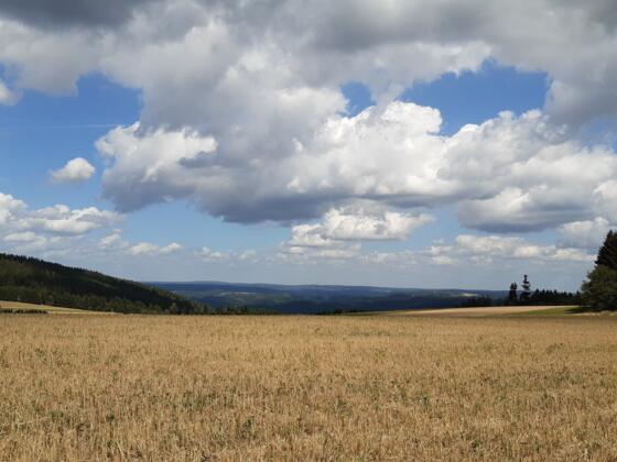 Blick über den Frankenwald beim Kreuzstein